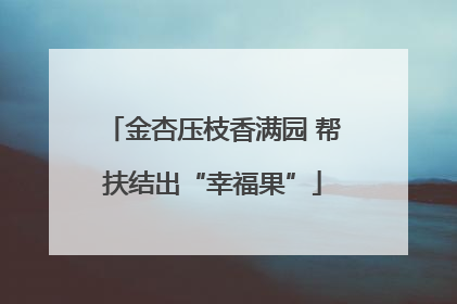 金杏压枝香满园 帮扶结出“幸福果”
